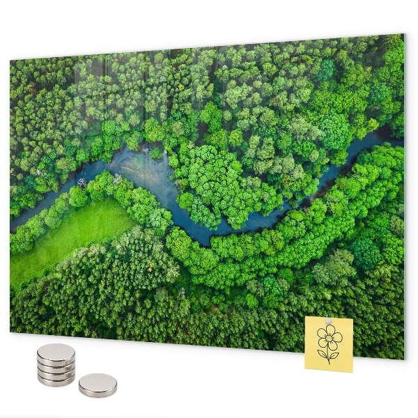 Pizarra magnética de cristal Río en el bosque