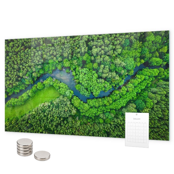 Pizarra magnética de cristal Río en el bosque