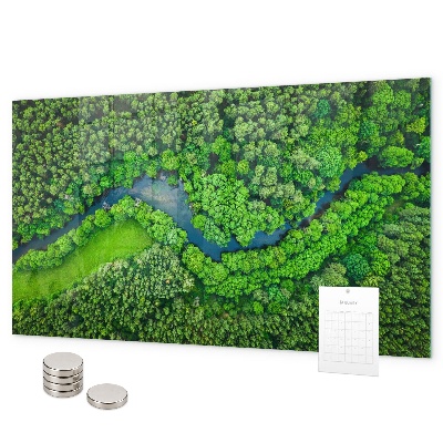 Pizarra magnética de cristal Río en el bosque