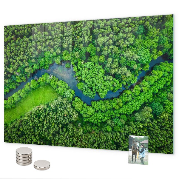 Pizarra magnética de cristal Río en el bosque