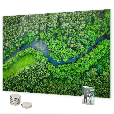Pizarra magnética de cristal Río en el bosque