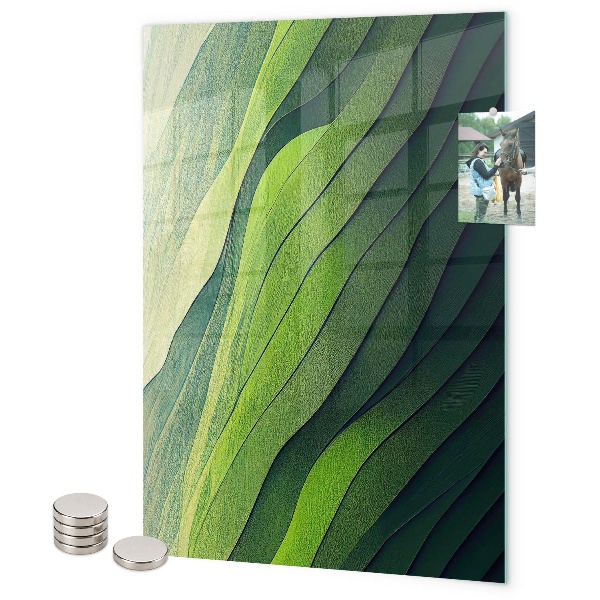 Pizarra magnética de pared Rayas verdes de la naturaleza