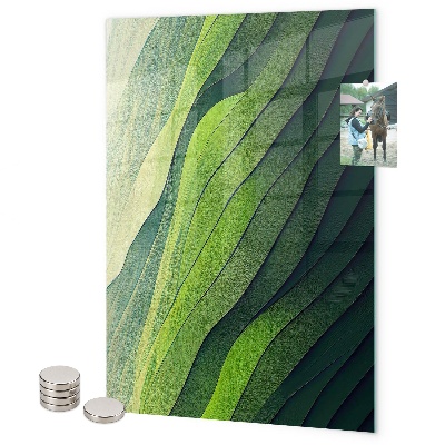 Pizarra magnética de pared Rayas verdes de la naturaleza