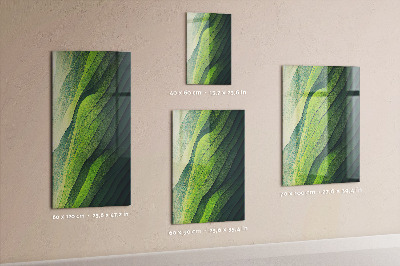 Pizarra magnética de pared Rayas verdes de la naturaleza