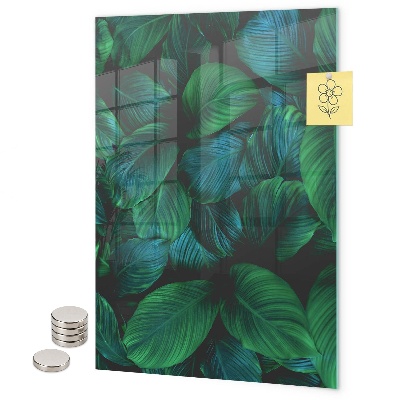Pizarra magnética de pared Hojas verdes grandes