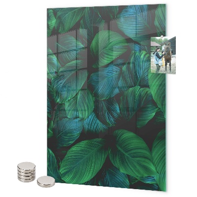 Pizarra magnética de pared Hojas verdes grandes