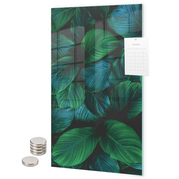 Pizarra magnética de pared Hojas verdes grandes