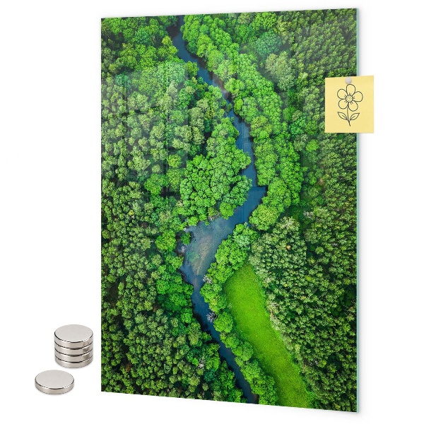 Pizarra magnética de pared Bosque árboles río