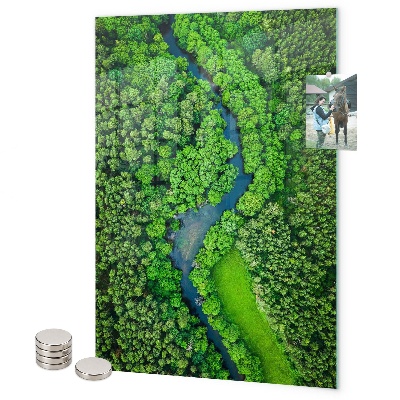 Pizarra magnética de pared Bosque árboles río