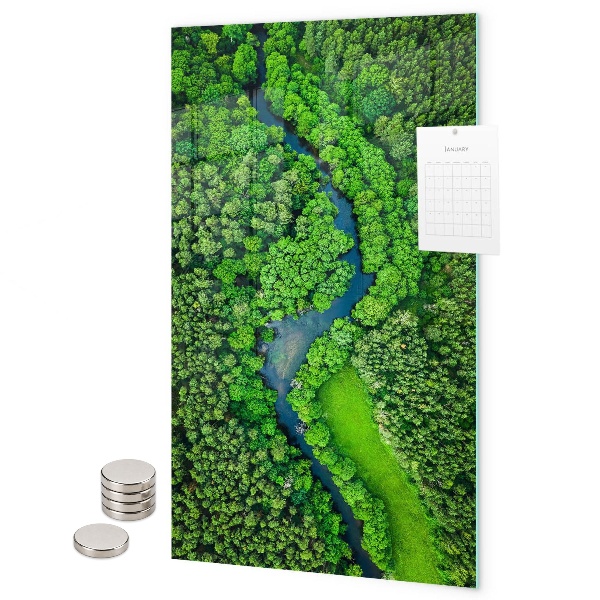 Pizarra magnética de pared Bosque árboles río