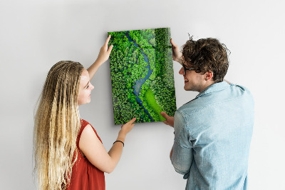 Pizarra magnética de pared Bosque árboles río