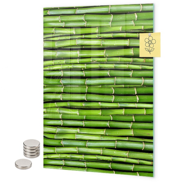 Pizarra magnética de pared Bambú verde