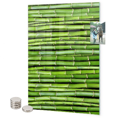 Pizarra magnética de pared Bambú verde