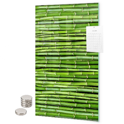 Pizarra magnética de pared Bambú verde
