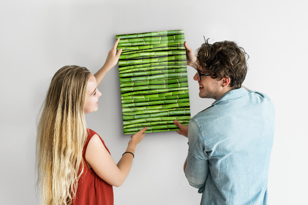 Pizarra magnética de pared Bambú verde
