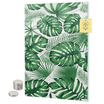 Pizarrón magnético hojas de monstera tropical