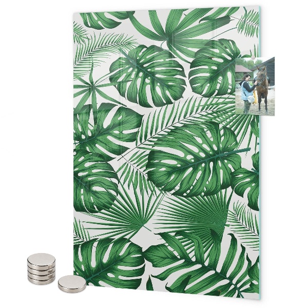 Pizarrón magnético hojas de monstera tropical
