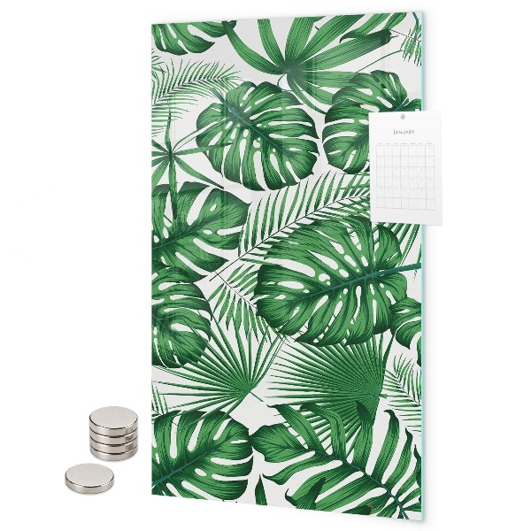 Pizarrón magnético hojas de monstera tropical