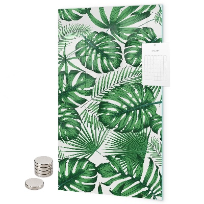 Pizarrón magnético hojas de monstera tropical