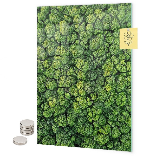Pizarra magnética de pared árboles naturaleza bosque