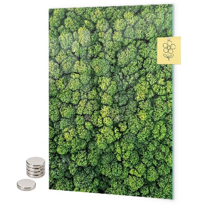 Pizarra magnética de pared árboles naturaleza bosque
