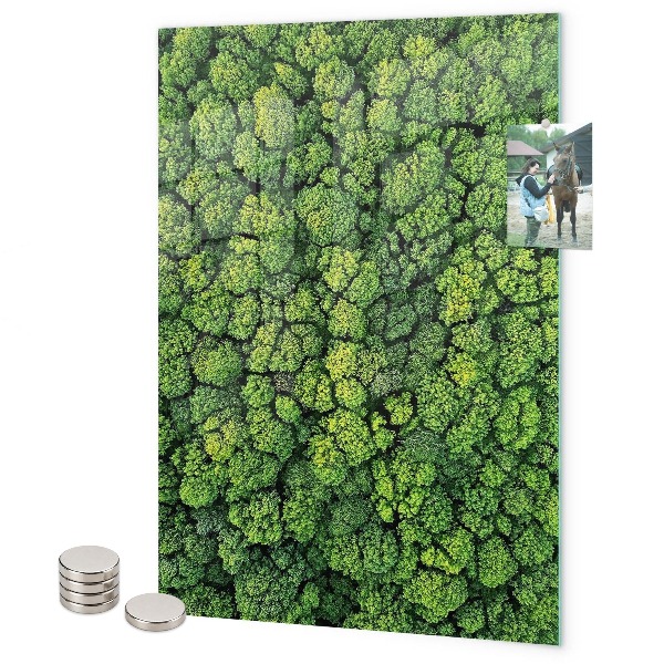 Pizarra magnética de pared árboles naturaleza bosque