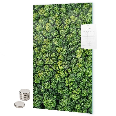 Pizarra magnética de pared árboles naturaleza bosque