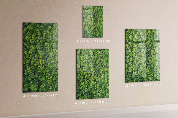 Pizarra magnética de pared árboles naturaleza bosque