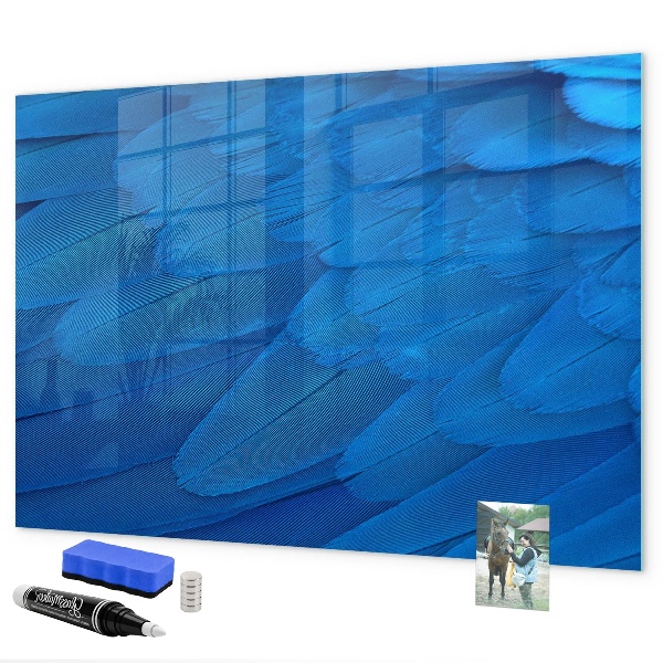 Pizarra borrable de cristal con imanes Tablero azul para fotos y notas.