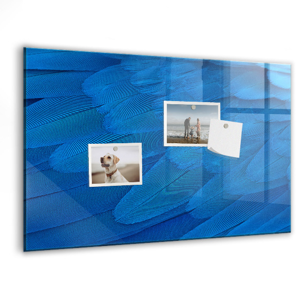 Pizarra borrable de cristal con imanes Tablero azul para fotos y notas.