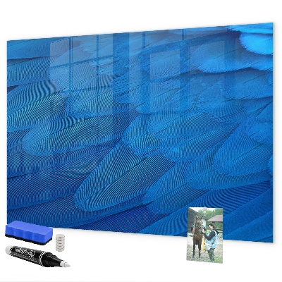 Pizarra borrable de cristal con imanes Tablero azul para fotos y notas.