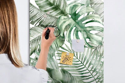 Pizarra borrable de cristal con imanes Tablero verde para fotos y notas.