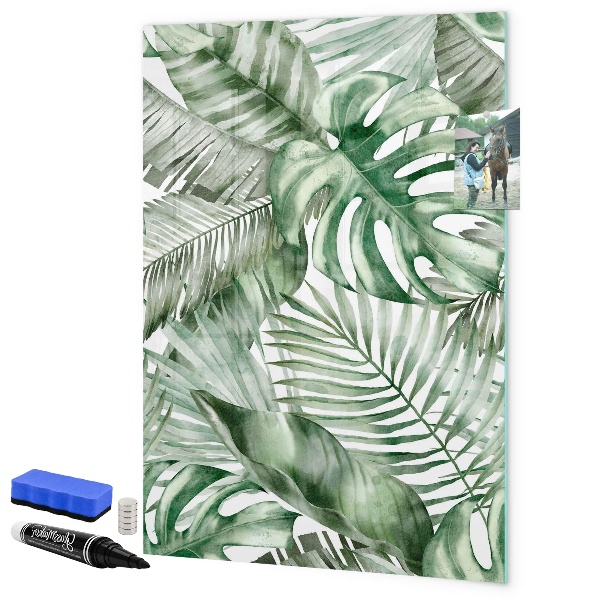 Pizarra borrable de cristal con imanes Tablero verde para fotos y notas.