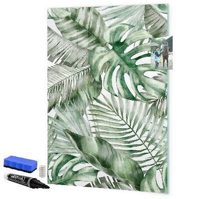 Pizarra borrable de cristal con imanes Tablero verde para fotos y notas.
