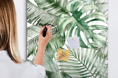 Pizarra borrable de cristal con imanes Tablero verde para fotos y notas.