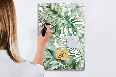 Pizarra borrable de cristal con imanes Tablero verde para fotos y notas.