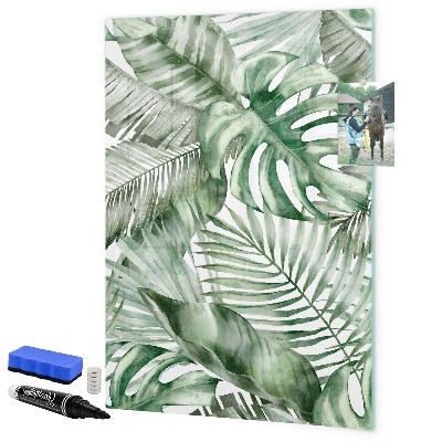 Pizarra borrable de cristal con imanes Tablero verde para fotos y notas.