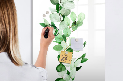 Pizarra borrable de cristal con imanes Motivo verde con espacio para fotos