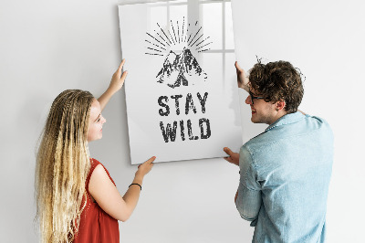 Pizarra borrable de cristal con imanes Un espacio creativo para recuerdos y fotos.