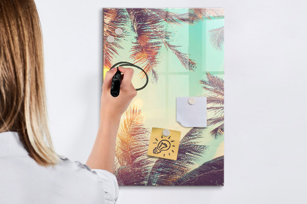Pizarra borrable de cristal con imanes Tablero creativo para fotos y notas