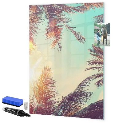Pizarra borrable de cristal con imanes Tablero creativo para fotos y notas