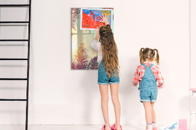 Pizarra borrable de cristal con imanes Tablero creativo para fotos y notas