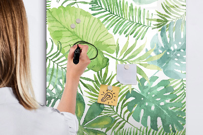 Pizarra magnética de pared con rotulador Pizarra verde con espacio para fotos