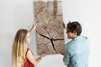 Pizarra magnética de pared con rotulador Un fondo natural para fotos y notas.
