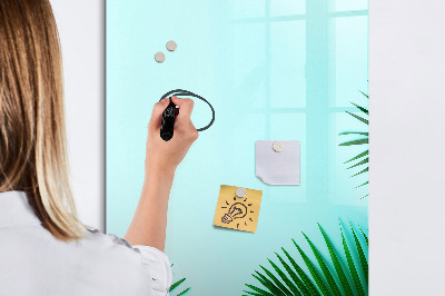 Pizarra borrable de cristal con imanes Tablero creativo para fotos y notas