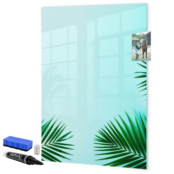 Pizarra borrable de cristal con imanes Tablero creativo para fotos y notas