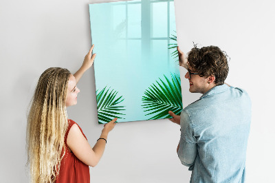 Pizarra borrable de cristal con imanes Tablero creativo para fotos y notas