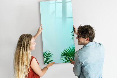 Pizarra borrable de cristal con imanes Tablero creativo para fotos y notas