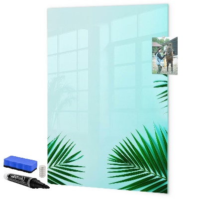 Pizarra borrable de cristal con imanes Tablero creativo para fotos y notas