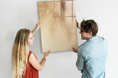 Pizarra borrable de cristal con imanes Tablero para fotos y notas